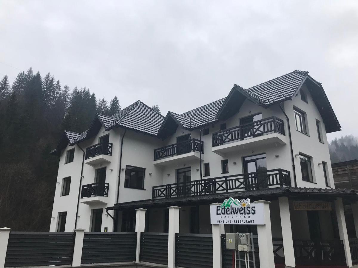 Pensiunea Edelweiss Voineasa Luaran gambar